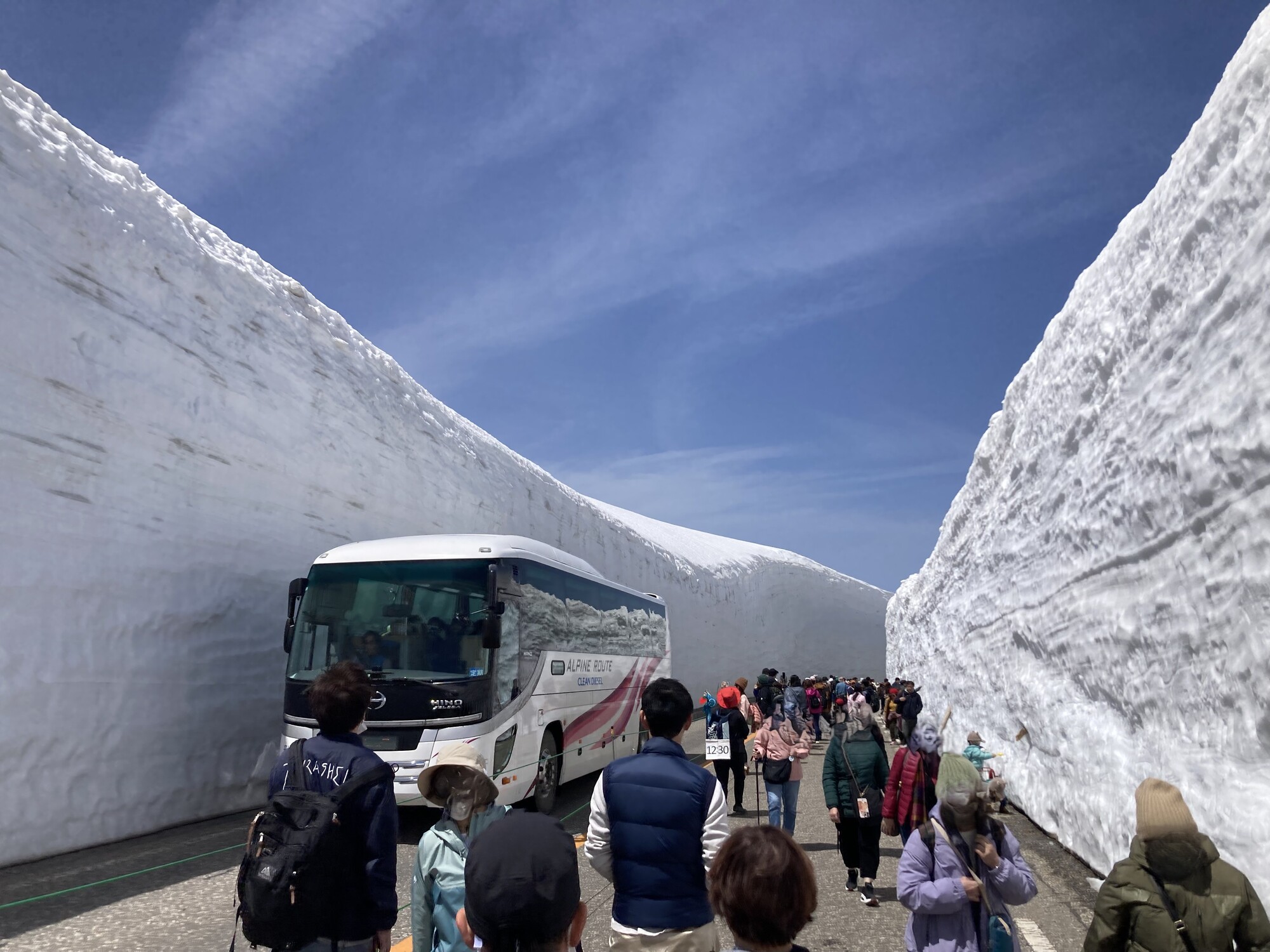新着情報の画像